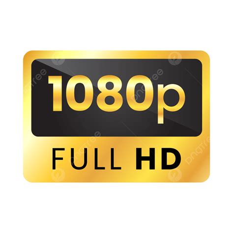 1080p porn|Fresh HD 1080p porn videos VEPORN